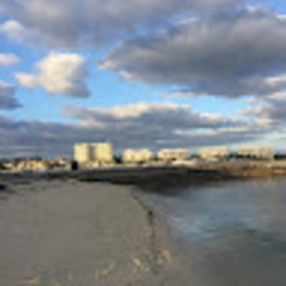 Meet your Posher, Sepiedeh - Picture 1 of 1